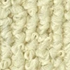 color chip