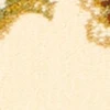 color chip