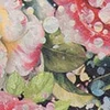 color chip