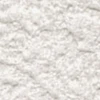 cs15-sp2510