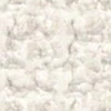 cs15-sp2520