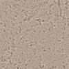 sp2545