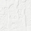 nsp2576