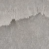 SGM1139