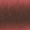 SGM1161