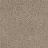 color chip