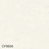 color chip