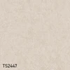 TS2447