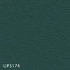 UP5174