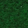 color chip