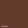 UP5069