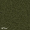UP5447