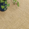 ライトブラウン
