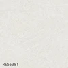 RE55381