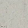 FPT2072