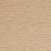 color chip