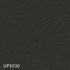 UP5030