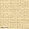 color chip
