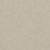 color chip