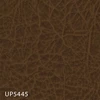 UP5445
