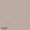 TS2427