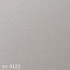 color chip
