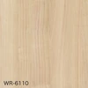 WR-6110