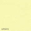 color chip