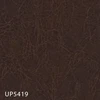 UP5419