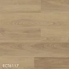 color chip