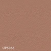 UP5066