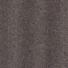 color chip