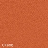 color chip