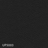 UP5003