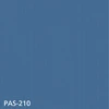 PAS-210