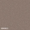 color chip