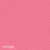 color chip