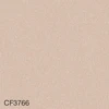 color chip