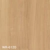 WR-6120