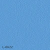 color chip