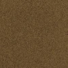 color chip