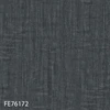 FE76172