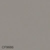 color chip