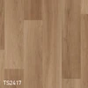 TS2417