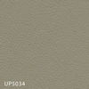 UP5034