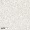 UP5023