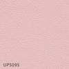 color chip