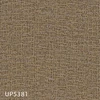 UP5381