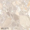 color chip