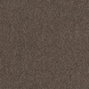 color chip